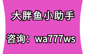 大胖鱼小助手-只需几个开头，让短视频上热门